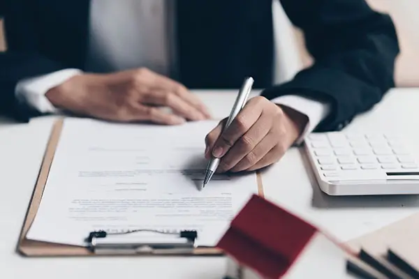 小笨蛋含义及寓意